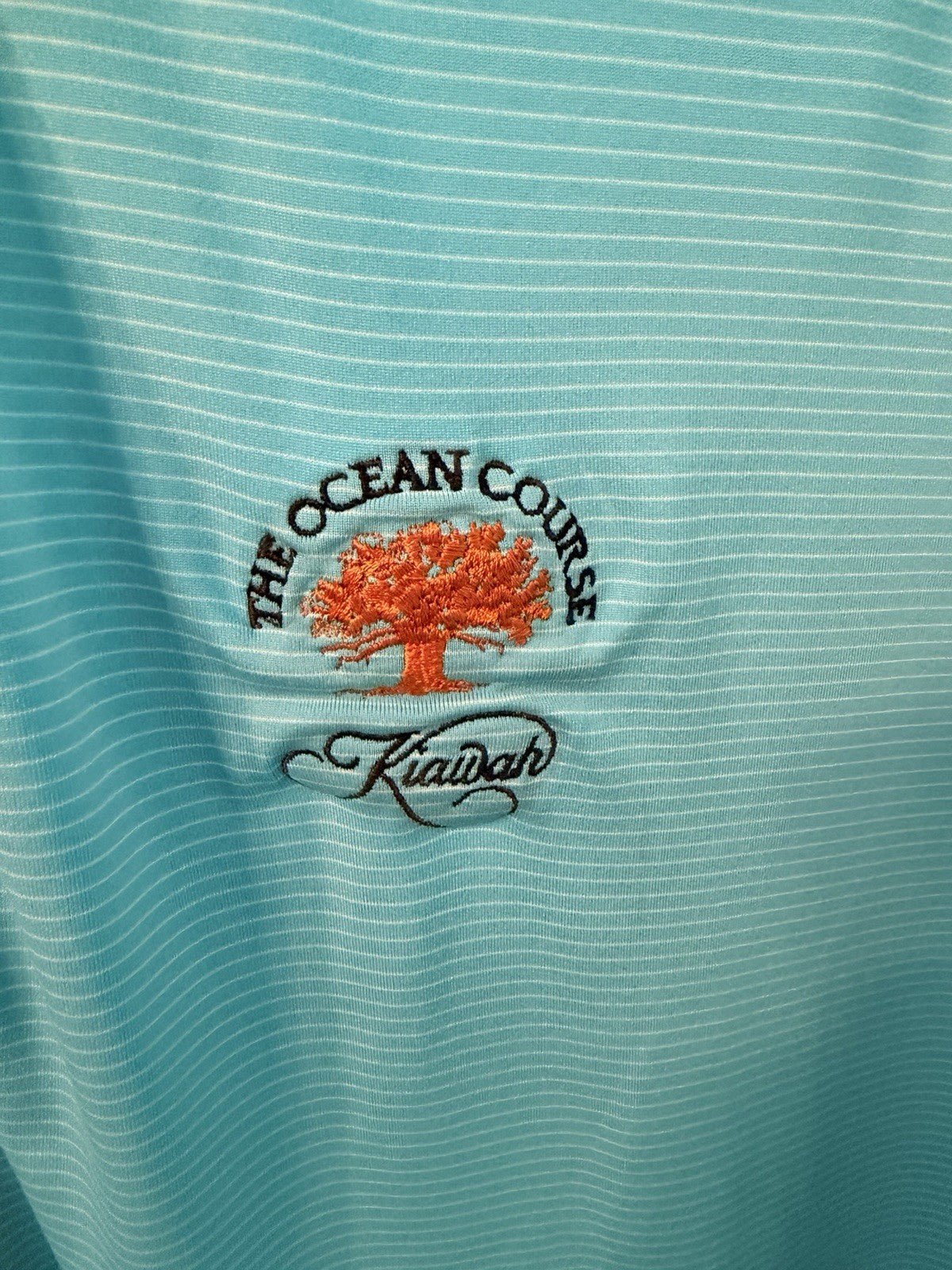 Peter Millar Mens Summer Comfort Golf Polo Shirt Large Teal Blue Striped Button