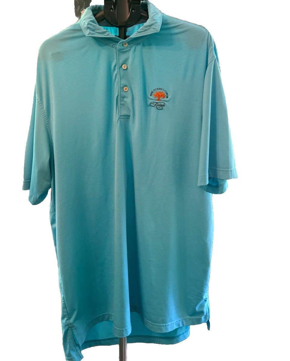 Peter Millar Mens Summer Comfort Golf Polo Shirt Large Teal Blue Striped Button